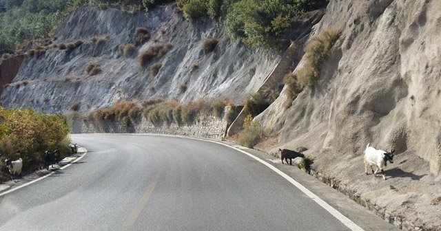 講真的，我碰到了20年后的我...