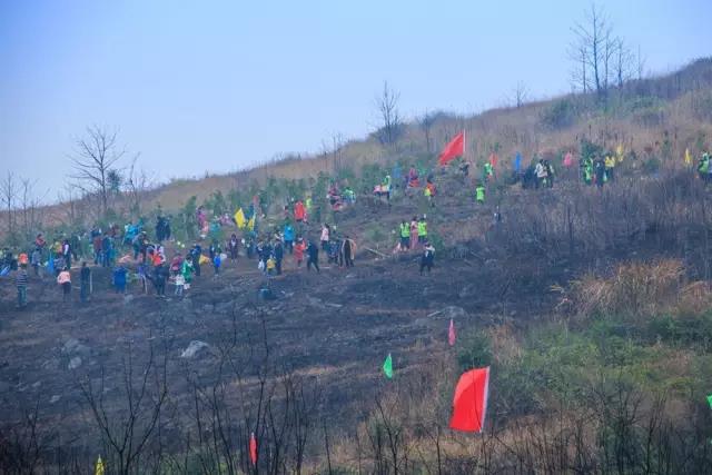 建設生態(tài)邵陽城，天嬌集團在行動