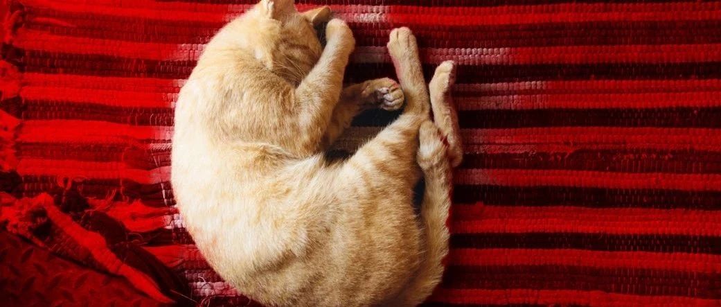 人類發(fā)展的動(dòng)力，除了懶，還有對舒適的追求