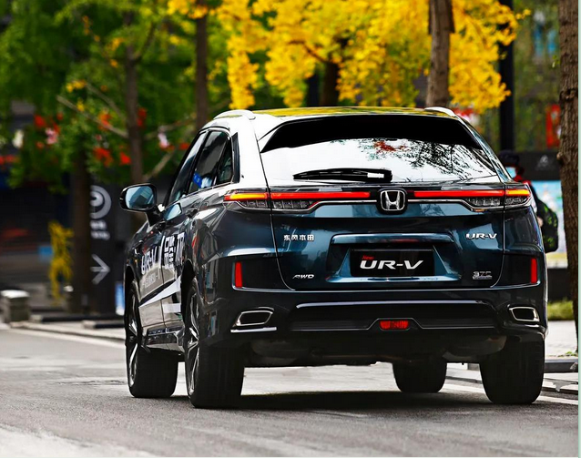 暢游樂逸蓉城，感受市井“慢生活”