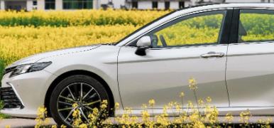 丨廣汽豐田天嬌寶慶店丨全新凱美瑞智能陪伴，將帶你馭見絕美婺源