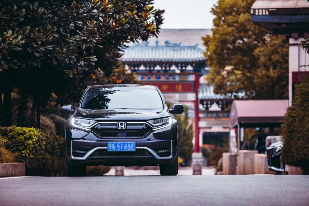 本人有料 | 愿歷經(jīng)千帆，歸來仍是少年